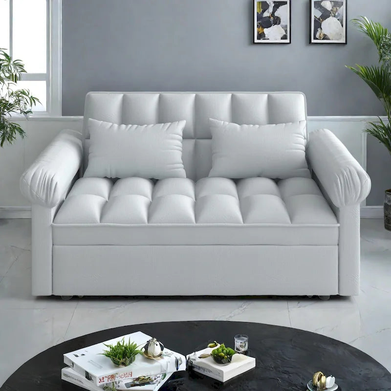 56 Foam 2-Seater Sofa Bed with Pull-Out Sleeper and Adjustable Backrest