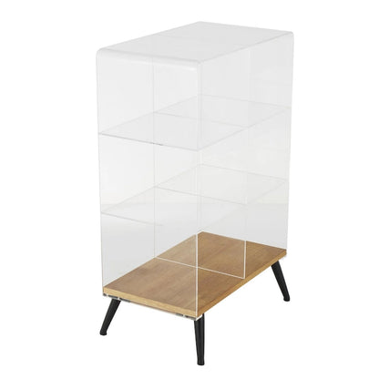 Acrylic Plastic 1 Shelf Side End Accent Table with Wood Base and Black Legs - Clear - Roche River Decor